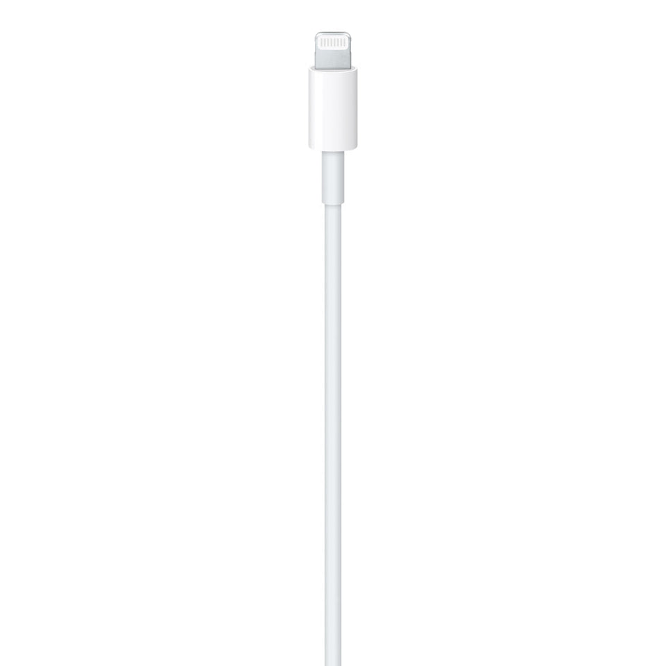 UBS-C to Lightning 1m (Carregador Foxconn)